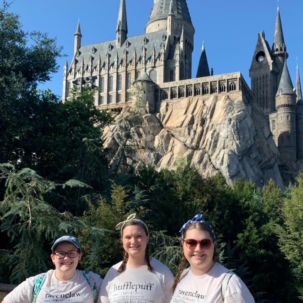 Hufflepuff Definition T-Shirt – Harry Potter Inspired Super Soft - Picture 2 of 3